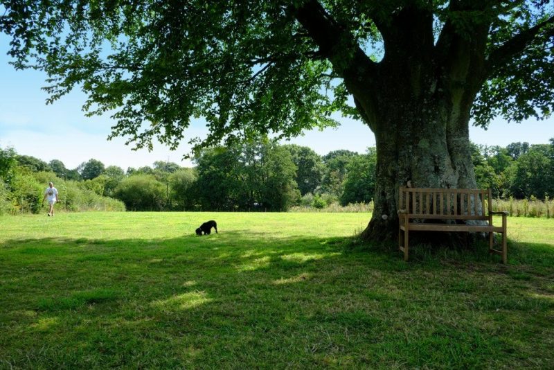 South Lytchett Manor mowed dog walking field