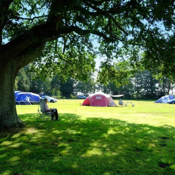 A day in the life of a campsite assistant. South Lytchett Manor Camping