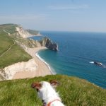 View of Durdle Door Beach with dog.