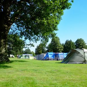 Camping at south lycthett manor dorset campsite