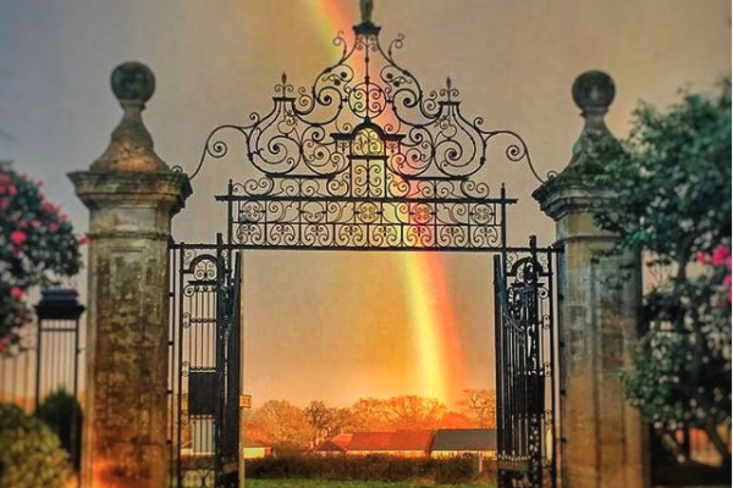 south lytchett manor gate rainbow