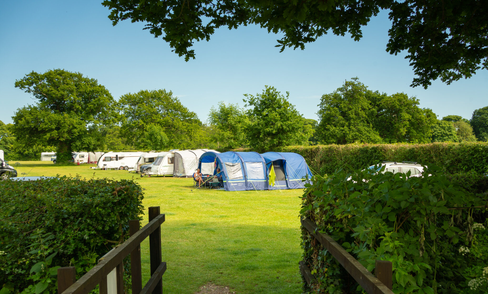 Camping in Dorset Voted Best UK Campsite South Lytchett
