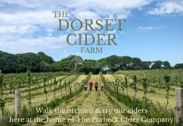Dorset Cider Farm